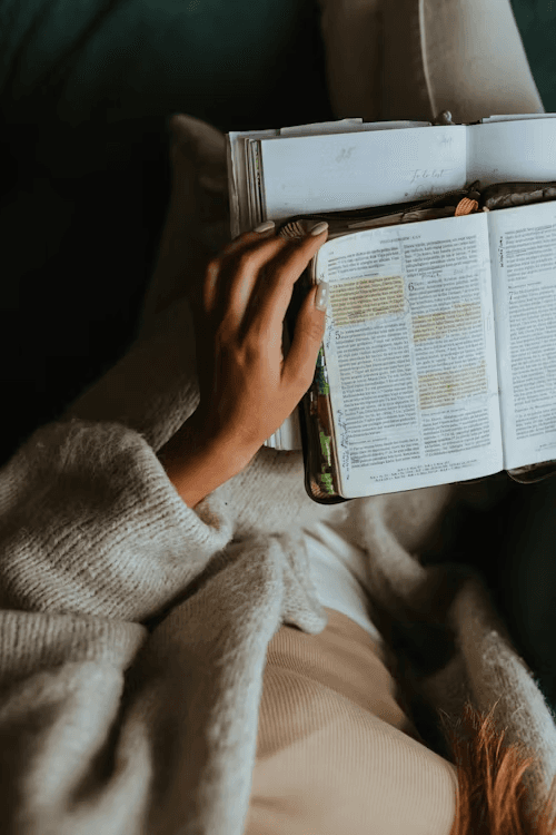 ChanRe Book Shop collection